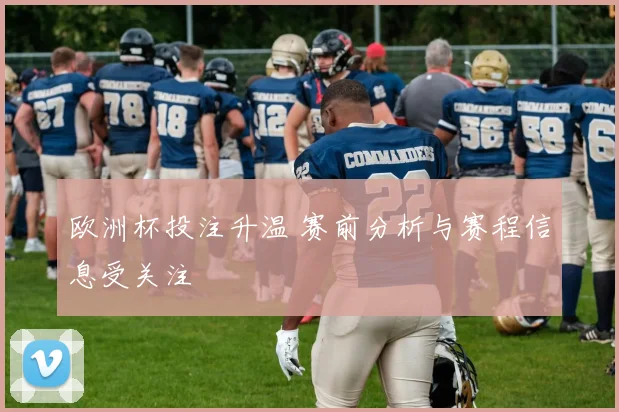 欧洲杯投注升温 赛前分析与赛程信息受关注