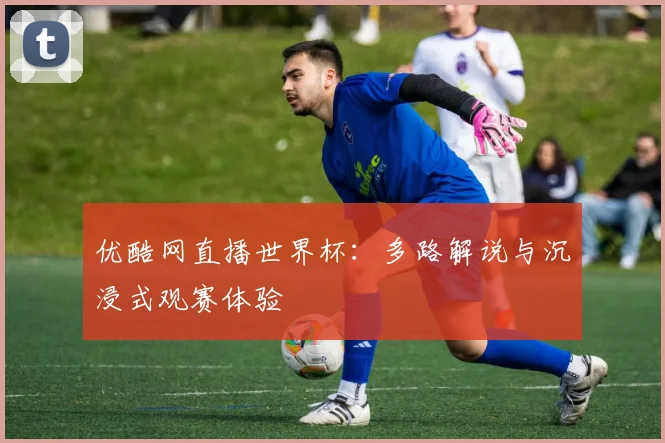 优酷网直播世界杯:多路解说与沉浸式观赛体验