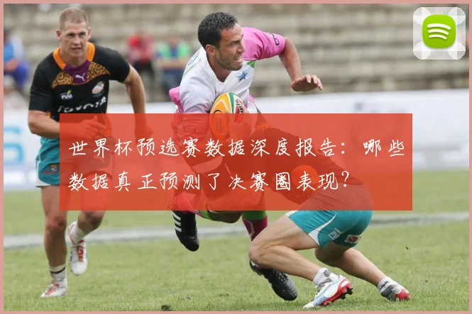 世界杯预选赛数据深度报告：哪些数据真正预测了决赛圈表现？
