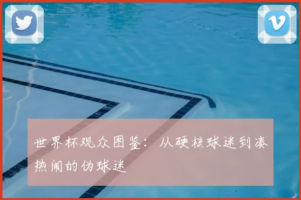 世界杯观众图鉴：从硬核球迷到凑热闹的伪球迷