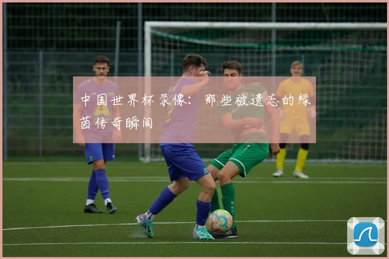 中国世界杯录像：那些被遗忘的绿茵传奇瞬间