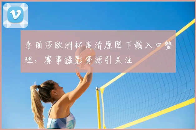 李丽莎欧洲杯高清原图下载入口整理，赛事摄影资源引关注
