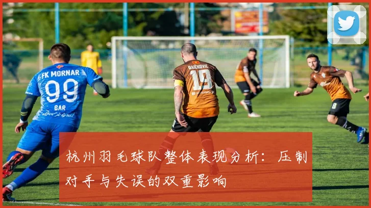 杭州羽毛球队整体表现分析：压制对手与失误的双重影响