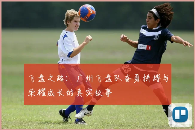 飞盘之路：广州飞盘队奋勇拼搏与荣耀成长的真实故事