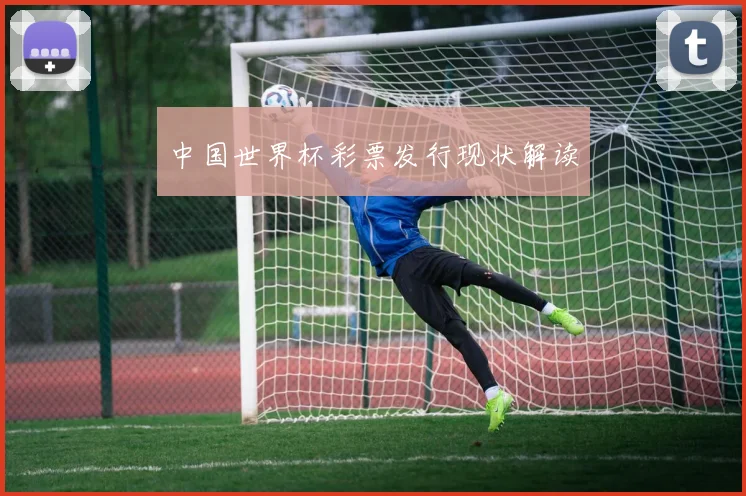 中国世界杯彩票发行现状解读