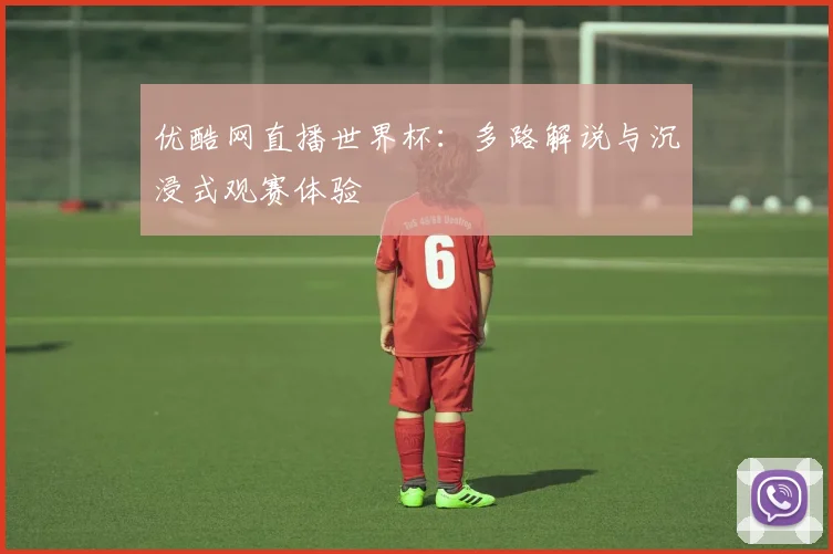 优酷网直播世界杯：多路解说与沉浸式观赛体验