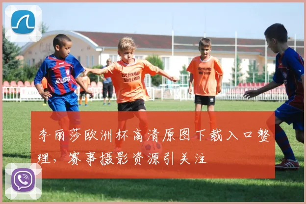 李丽莎欧洲杯高清原图下载入口整理，赛事摄影资源引关注