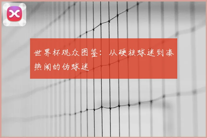 世界杯观众图鉴：从硬核球迷到凑热闹的伪球迷